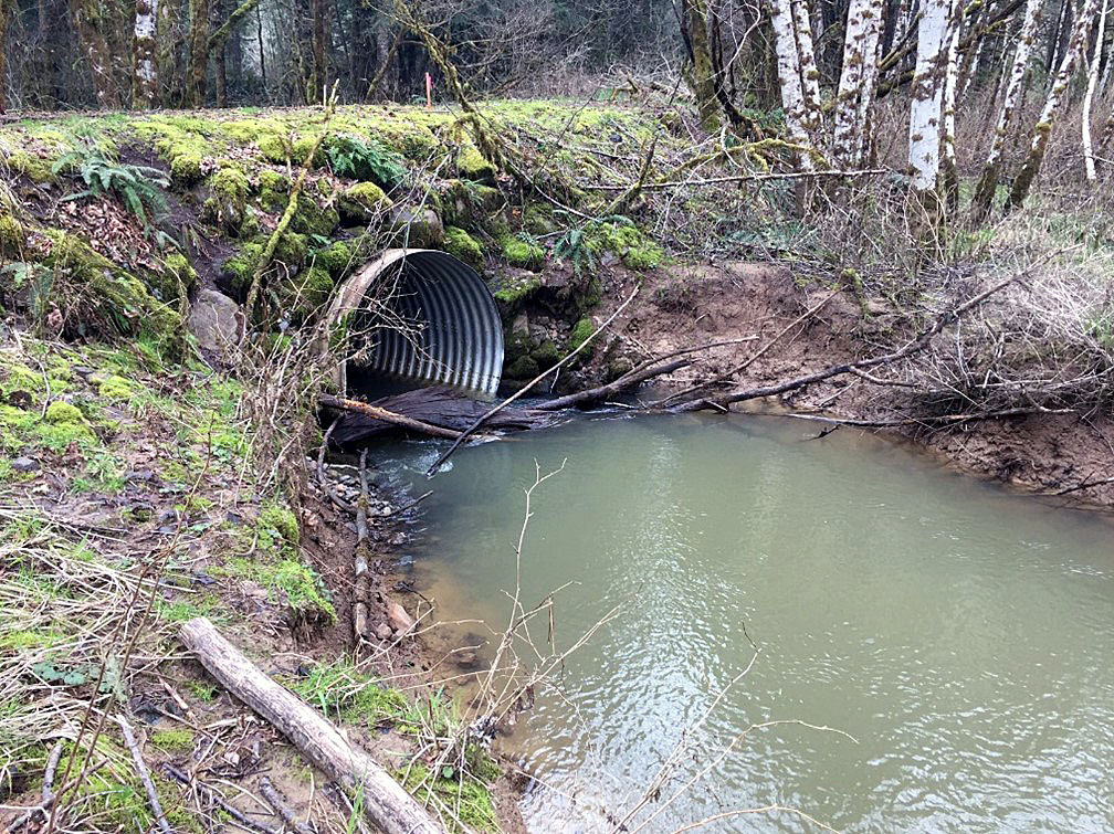 Culvert Fish Barrier