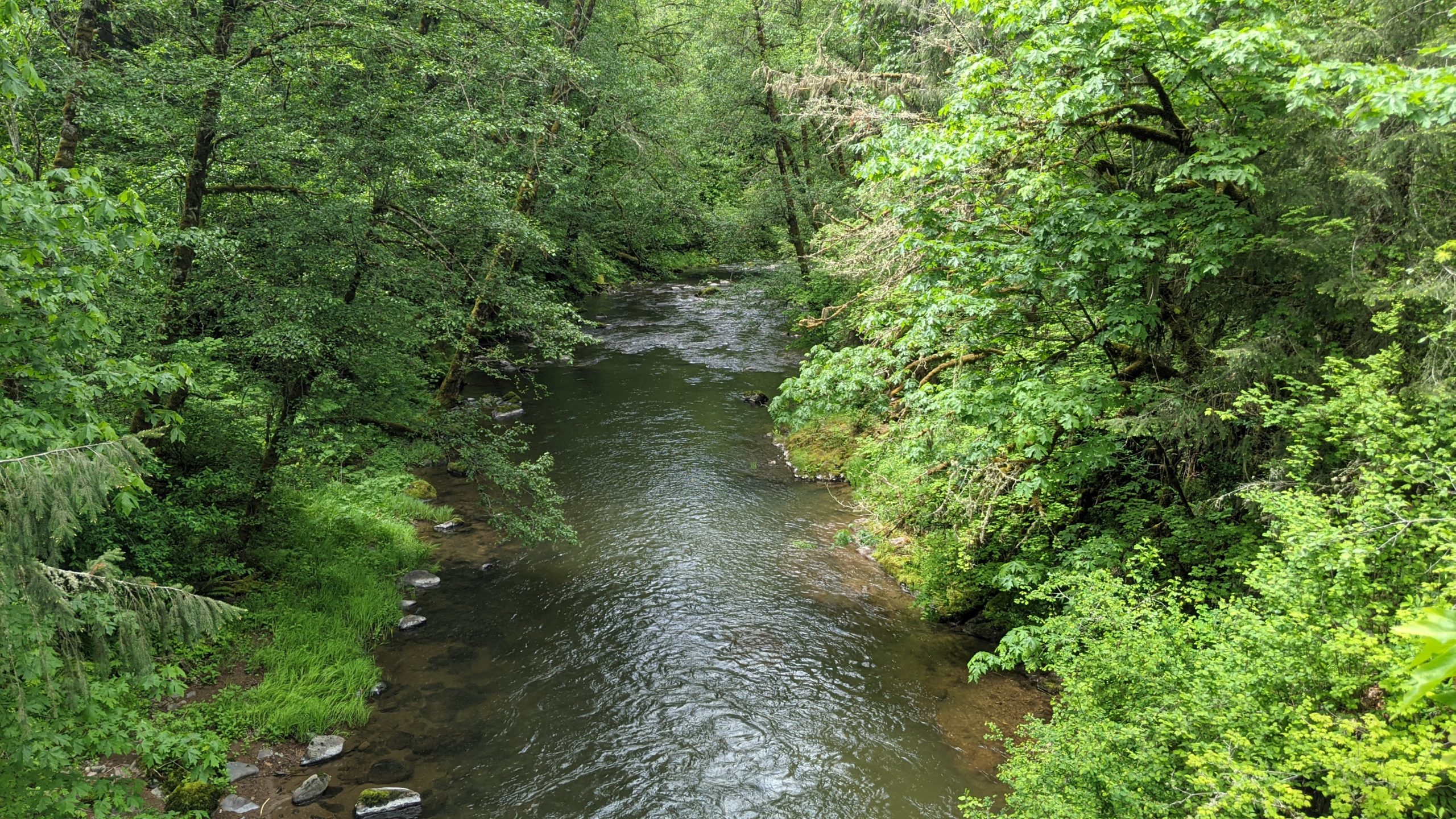 Skookumchuck River