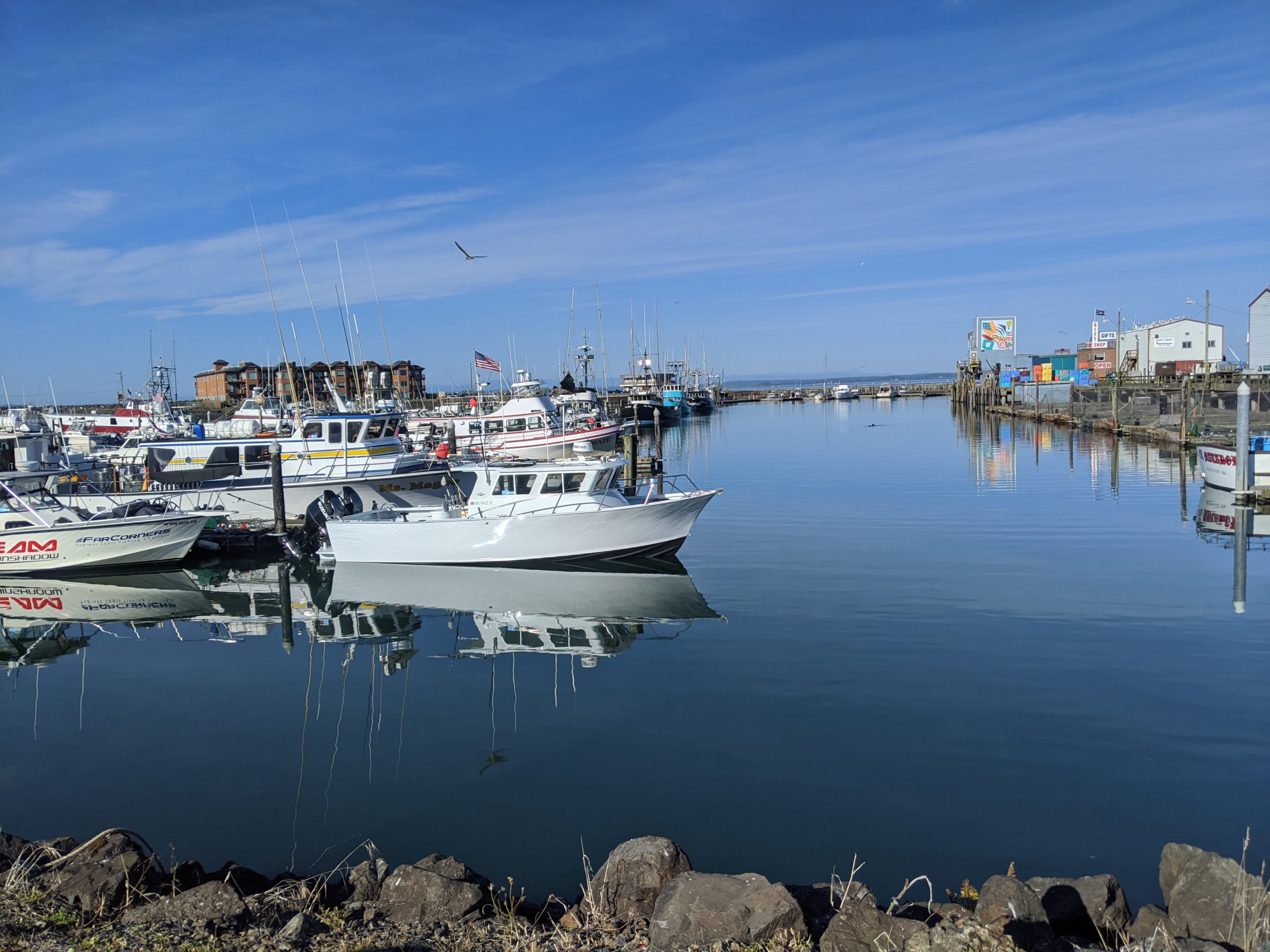 Westport Marina