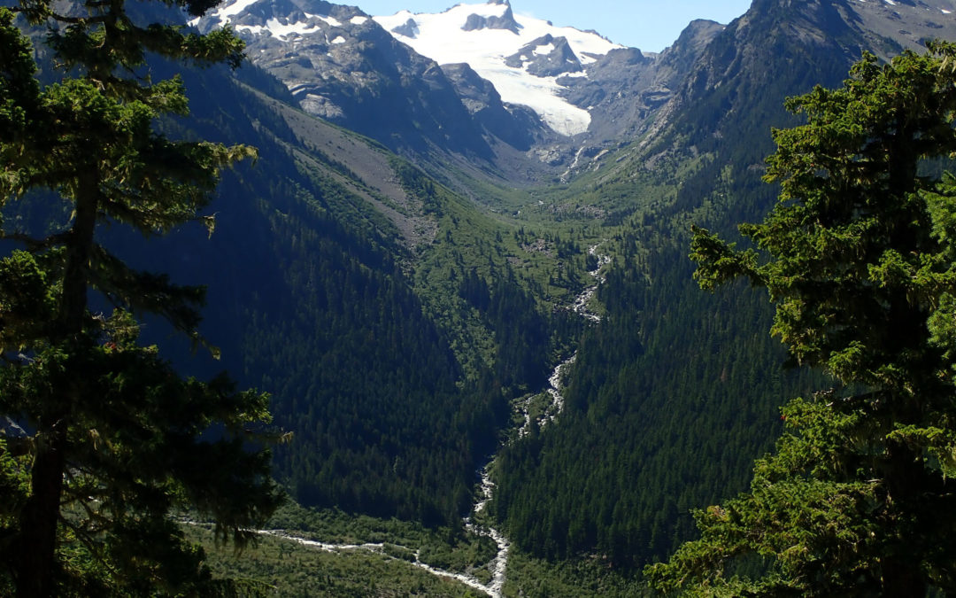 National Forest Foundation Collaborative Capacity Program
