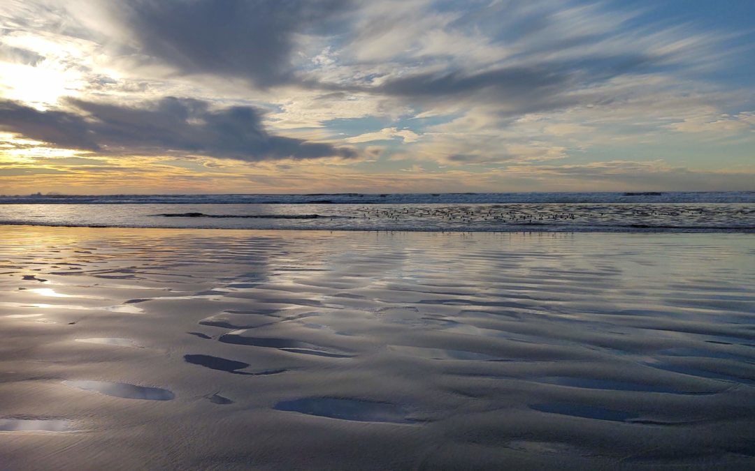 Transformational Habitat Restoration and Coastal Resilience Grants