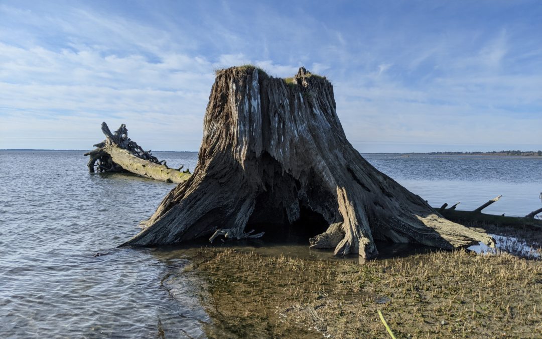 Marine Resources Committees Program
