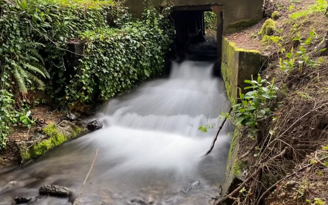 Restoring Fish Passage Through Barrier Removal