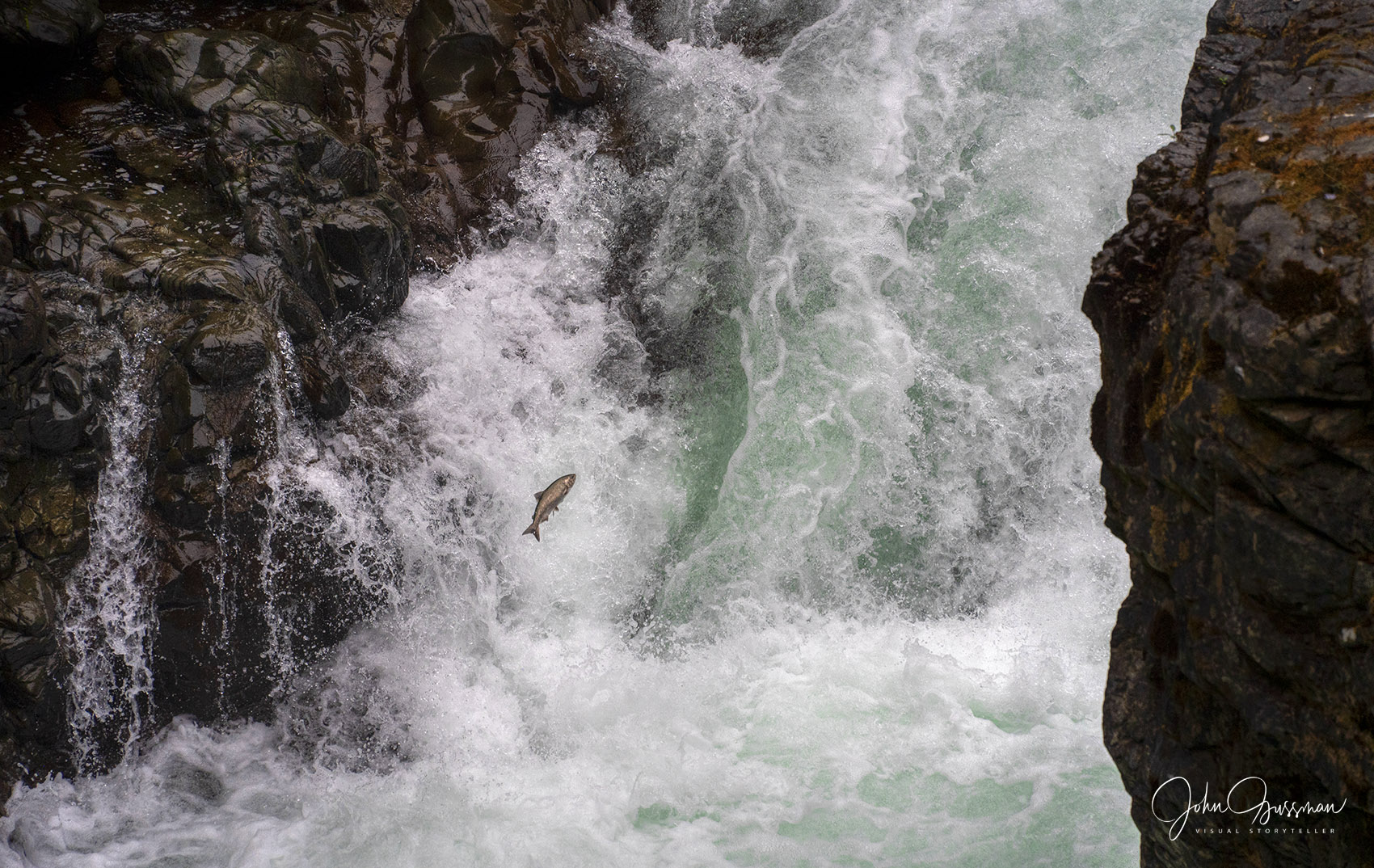 Hoh River in Winter